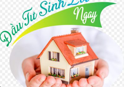 Cách đầu tư bất động sản